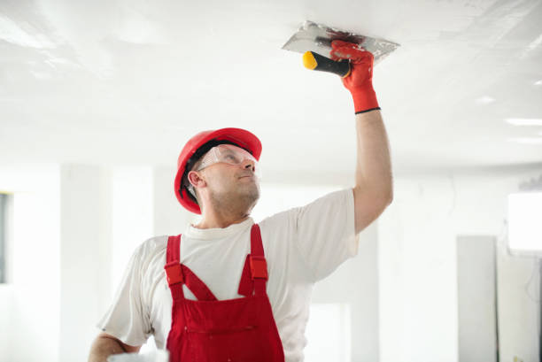 Best Mold-Related Health Consultation  in Salem, OH